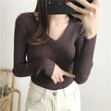 2025 New Knitwear In The Knit Shirt Autumn And Winter Jacket Thick Tight Height Collar Sweater Women's Bottom Shirt