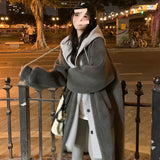 2026 Autumn And Winter New Loose Long-Term Lamb Wool Coat Women Thick Hooded Hooded