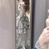 French Design-Sensitive Butterfly-Print Sling Dress Women's Summer Irregular Net Yarn Half-Dress Fashion Dress