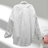 Design-Sensitive Niche Tie-Print Striped Shirt Women's New Languid Windy Loose Shirt Tide In Autumn 2025