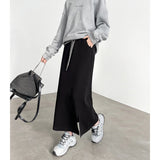 Black Half-Dress Girl Spring And Autumn 2025 New A-Word Long-Term High-Rise High-Waisted Temperament Straight Skirt