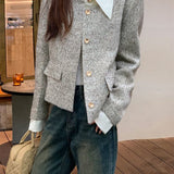 Fake Two POLO Collar Small Fragrant Coat 2026 Autumn And Winter New Short Temperament Coarse Flowers, High-End Short Top Woman