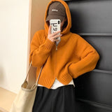 Kaning Hooded Double Zipper Sweater Coat Women Autumn And Winter Lazy Wind Niche Design Short Knitted Open Shirt Woman