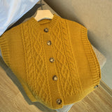 2026 Autumn Solid Color Round Collar Commuting Outside The Button Coarse Needle Silkless Soft Silk Sweater Knitted Vest